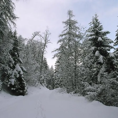 Saint Salod 카르벤소드